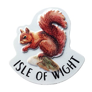 Digitally Printed Resin Fridge Magnet Isle of Wight Squirrel Thumbnail