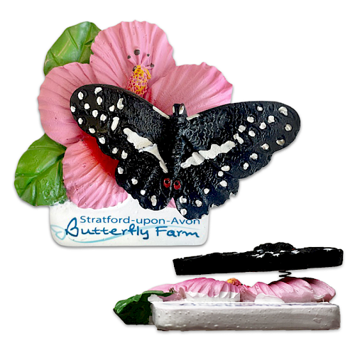 bobble-resin-fridge-magnet