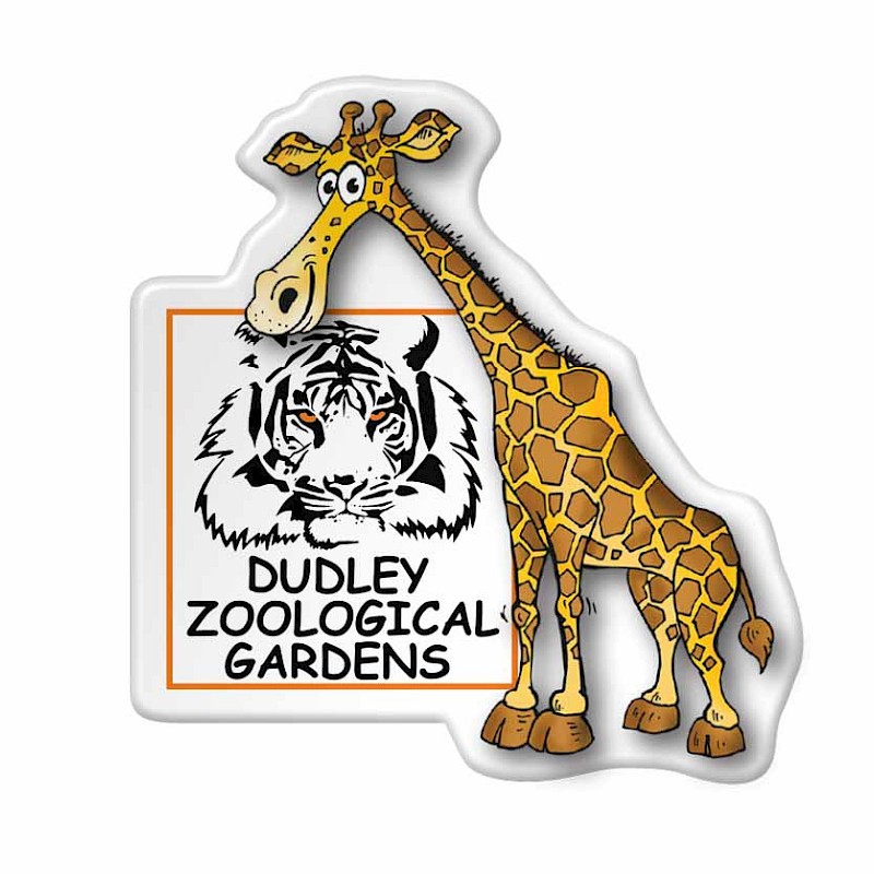 Shaped Epoxy Fridge Animal Zoo Magnet