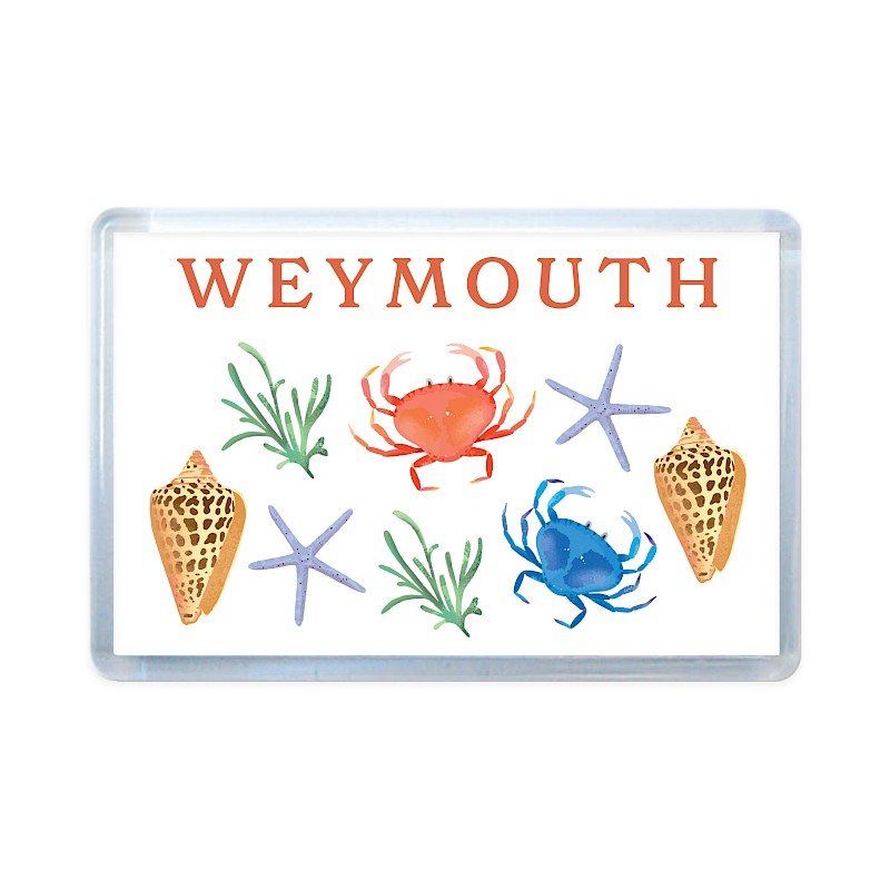Full Colour Acrylic Fridge Magnet