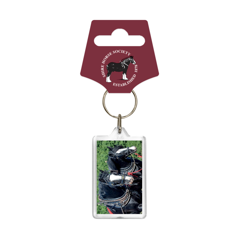 shire horse acrylic keyring