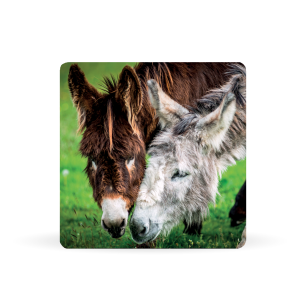 square coaster donkey sanctuary Thumbnail