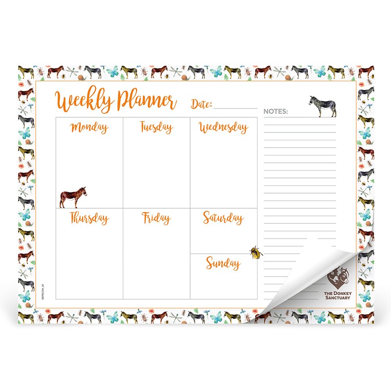 A4 Desk Pad Donkey Sanctuary