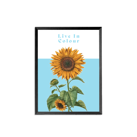 framed_art_-_for_website.png