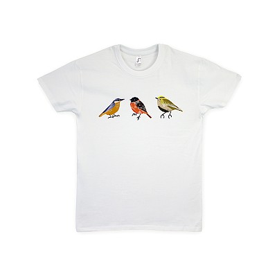 t-shirts-generally