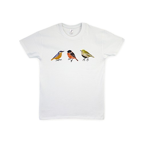 t-shirts-generally