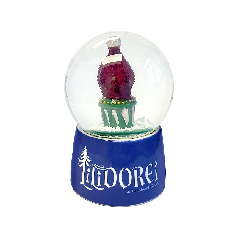 Resin Snowglobe