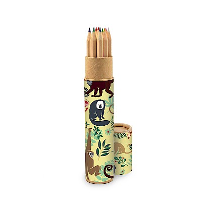 colouring-pencils-in-tube