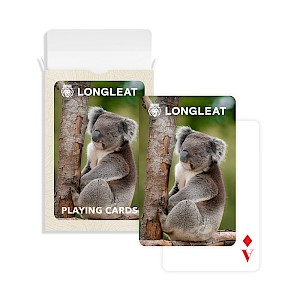 Playing Cards in Printed Card Box Thumbnail