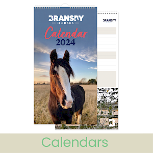Calendar visual with a close up of a horse in a field on a sunny day on the front cover.