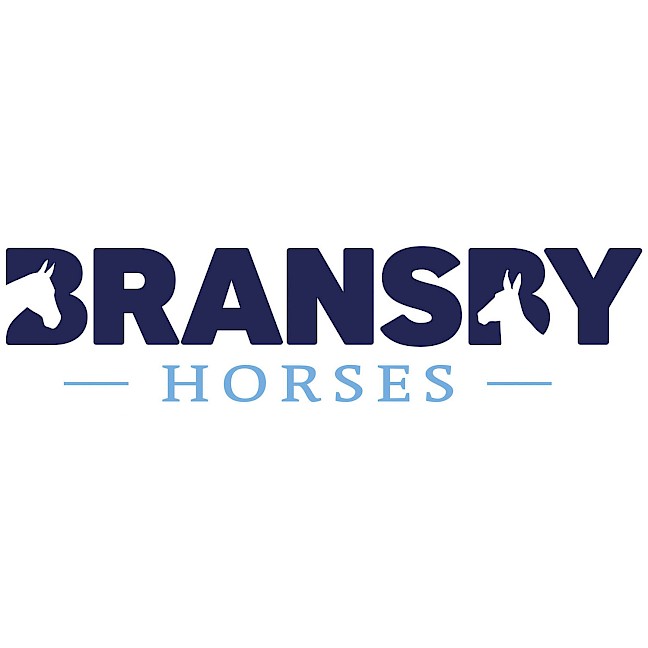 bransby_horses-1.jpg