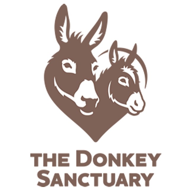 the_donkey_sanctuary-1.jpg