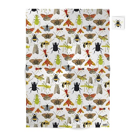 gift_wrap_-_the_bale_house-1_800x800.jpg