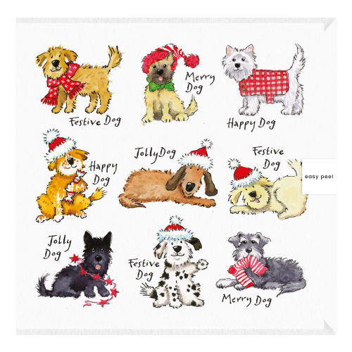 greeting_card_sq-_packaging.png