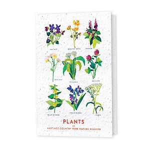 Seed Greeting Cards Thumbnail