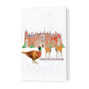 Seed Greeting Cards Thumbnail
