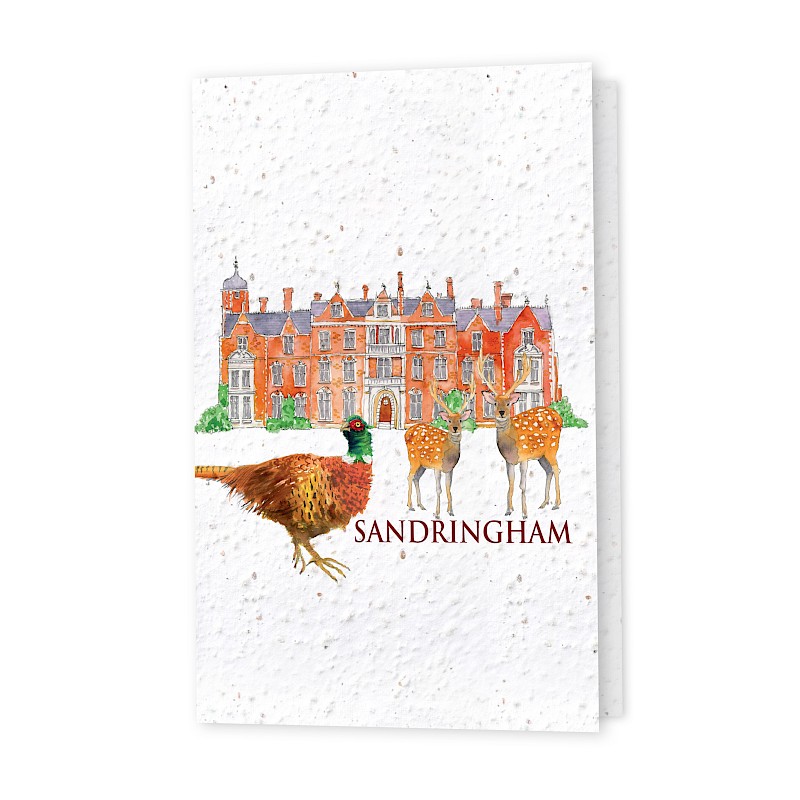 Seed Greeting Cards