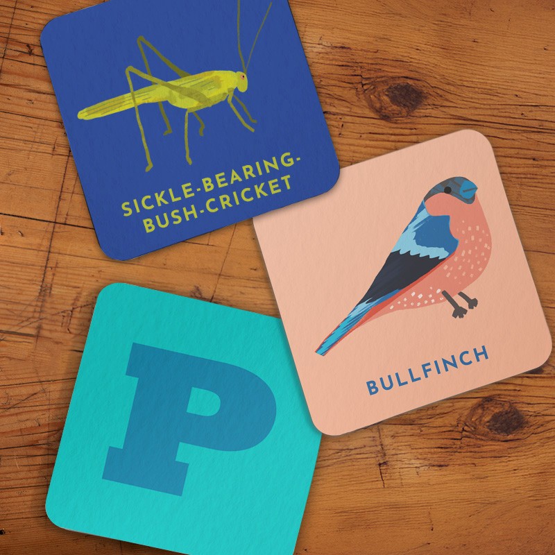 three_coasters-our_coasters-1.jpg