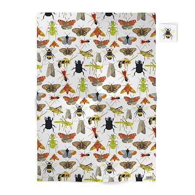 gift-wrap